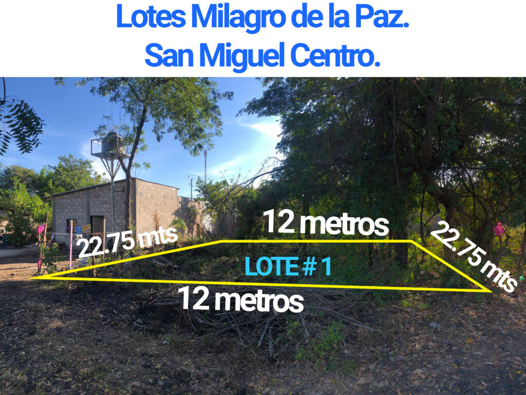 Venta de Lote en Colonia Milagro de la Paz, San Miguel, El Salvador.
